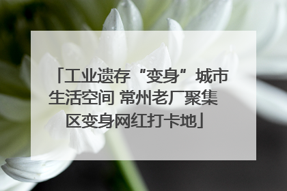 工业遗存“变身”城市生活空间 常州老厂聚集区变身网红打卡地