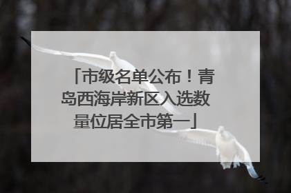 市级名单公布！青岛西海岸新区入选数量位居全市第一