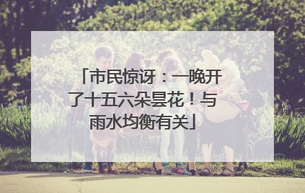 市民惊讶：一晚开了十五六朵昙花！与雨水均衡有关