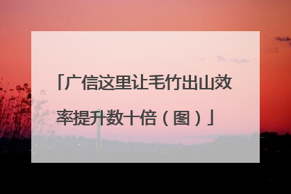 广信这里让毛竹出山效率提升数十倍（图）