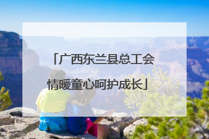 广西东兰县总工会情暖童心呵护成长