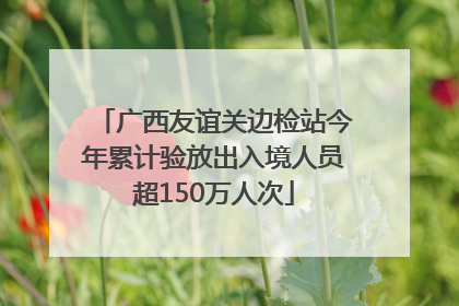 广西友谊关边检站今年累计验放出入境人员超150万人次