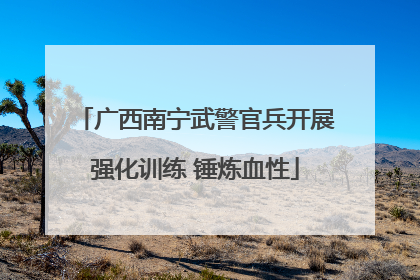 广西南宁武警官兵开展强化训练 锤炼血性