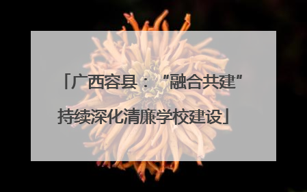广西容县：“融合共建”持续深化清廉学校建设