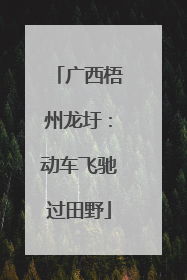 广西梧州龙圩：动车飞驰过田野
