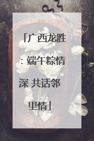 广西龙胜：端午粽情深 共话邻里情
