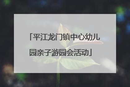 平江龙门镇中心幼儿园亲子游园会活动