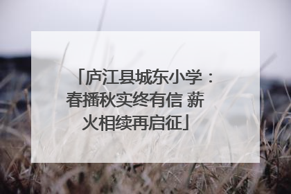 庐江县城东小学：春播秋实终有信 薪火相续再启征