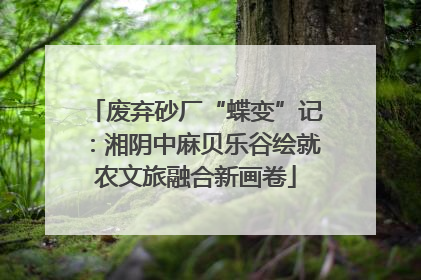 废弃砂厂“蝶变”记：湘阴中麻贝乐谷绘就农文旅融合新画卷