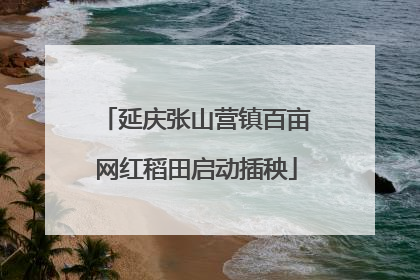 延庆张山营镇百亩网红稻田启动插秧