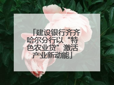 建设银行齐齐哈尔分行以“特色农业贷”激活产业新动能