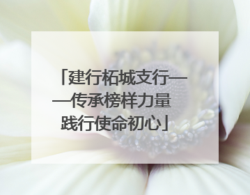 建行柘城支行——传承榜样力量 践行使命初心