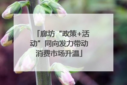 廊坊“政策+活动”同向发力带动消费市场升温