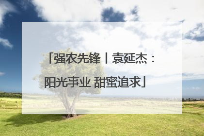 强农先锋丨袁延杰：阳光事业 甜蜜追求
