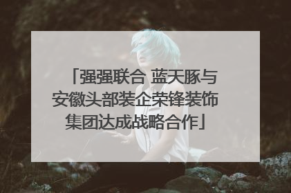 强强联合 蓝天豚与安徽头部装企荣锋装饰集团达成战略合作