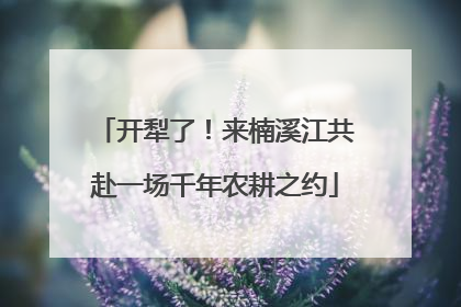 开犁了！来楠溪江共赴一场千年农耕之约