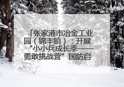 张家港市冶金工业园（锦丰镇）：开展“小小兵成长季——勇敢挑战营”国防启蒙教育活动