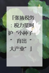 张掖税务：税力量呵护“小种子” 育出“大产业”