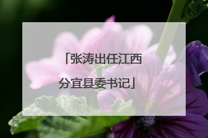 张涛出任江西分宜县委书记