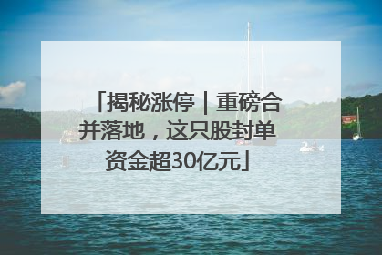 揭秘涨停｜重磅合并落地，这只股封单资金超30亿元