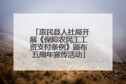惠民县人社局开展《保障农民工工资支付条例》颁布五周年宣传活动
