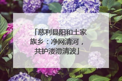 慈利县阳和土家族乡：净网清河，共护溇澧清波