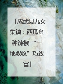 成武县九女集镇：西瓜套种辣椒 “一地双收”巧致富