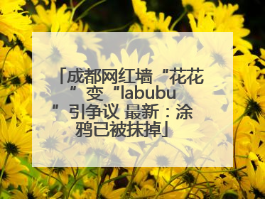 成都网红墙“花花”变“labubu”引争议 最新：涂鸦已被抹掉