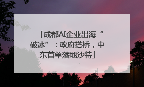 成都AI企业出海“破冰”：政府搭桥，中东首单落地沙特