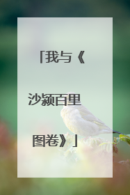 我与《沙颍百里图卷》