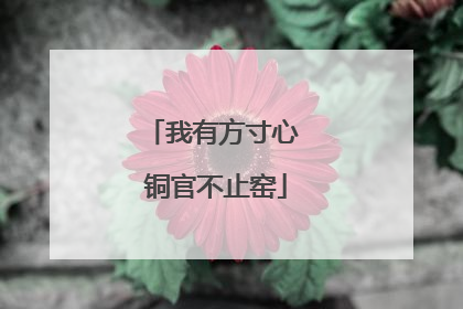 我有方寸心 铜官不止窑