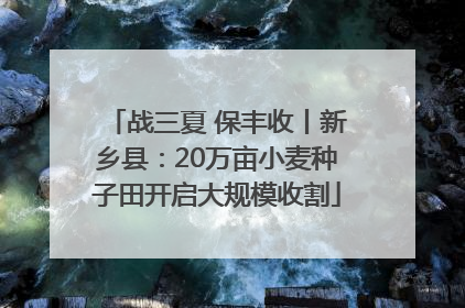 战三夏 保丰收丨新乡县：20万亩小麦种子田开启大规模收割