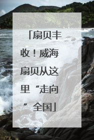扇贝丰收！威海扇贝从这里“走向”全国