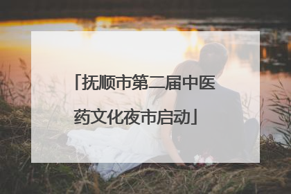 抚顺市第二届中医药文化夜市启动