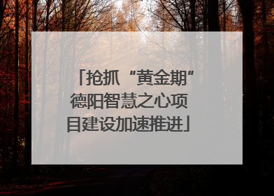 抢抓“黄金期” 德阳智慧之心项目建设加速推进