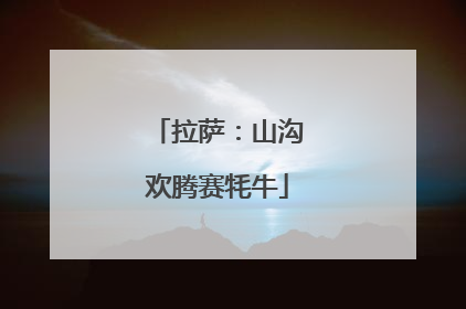 拉萨：山沟欢腾赛牦牛