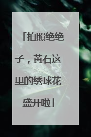 拍照绝绝子，黄石这里的绣球花盛开啦