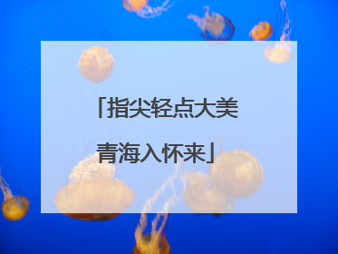 指尖轻点大美青海入怀来