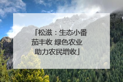 松滋：生态小番茄丰收 绿色农业助力农民增收