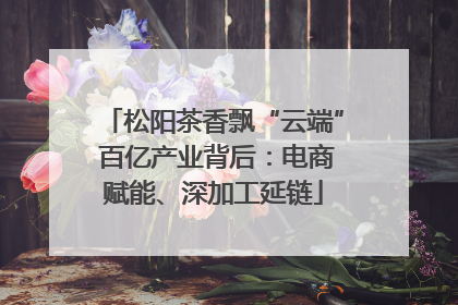 松阳茶香飘“云端” 百亿产业背后：电商赋能、深加工延链
