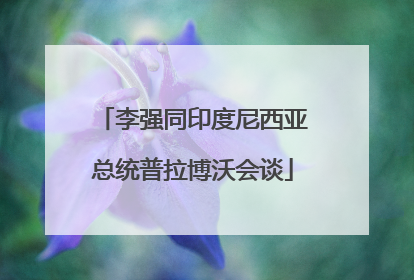 李强同印度尼西亚总统普拉博沃会谈