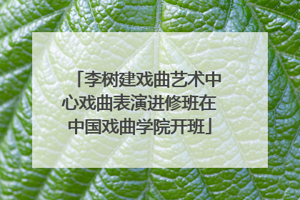 李树建戏曲艺术中心戏曲表演进修班在中国戏曲学院开班