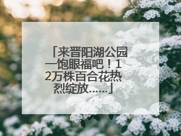 来晋阳湖公园一饱眼福吧！12万株百合花热烈绽放……