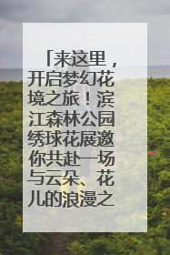 来这里，开启梦幻花境之旅！滨江森林公园绣球花展邀你共赴一场与云朵、花儿的浪漫之约