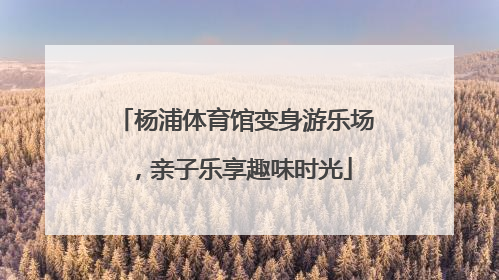 杨浦体育馆变身游乐场，亲子乐享趣味时光