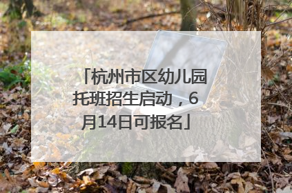 杭州市区幼儿园托班招生启动，6月14日可报名