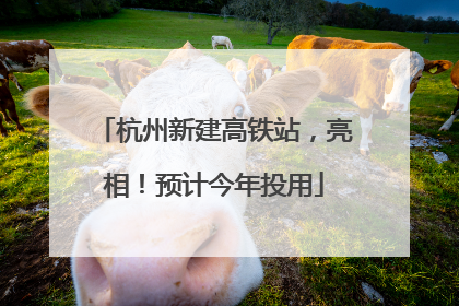 杭州新建高铁站，亮相！预计今年投用