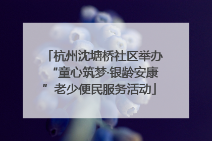 杭州沈塘桥社区举办“童心筑梦·银龄安康”老少便民服务活动