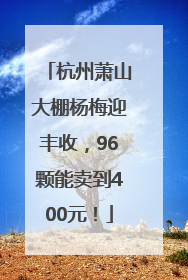 杭州萧山大棚杨梅迎丰收，96颗能卖到400元！