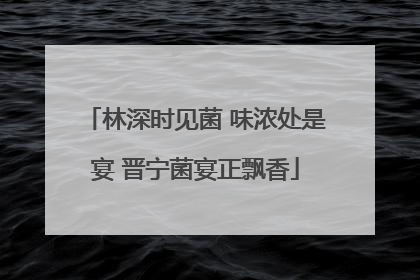 林深时见菌 味浓处是宴 晋宁菌宴正飘香